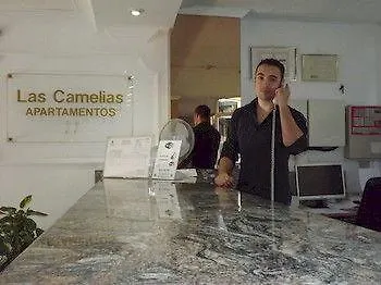 Camelias
