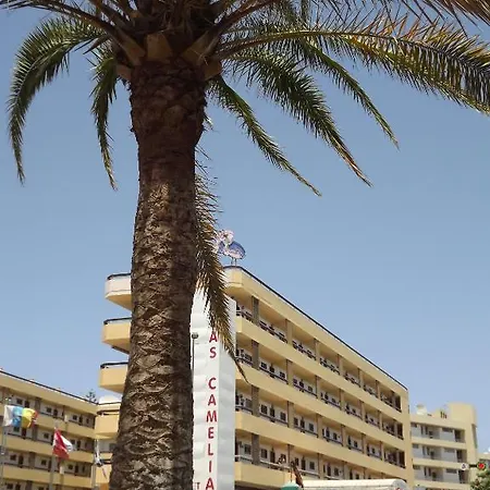Appartement Camelias
