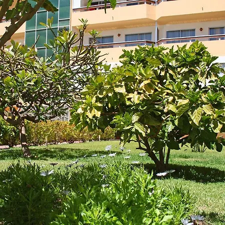 Camelias * Playa del Ingles (Gran Canaria)