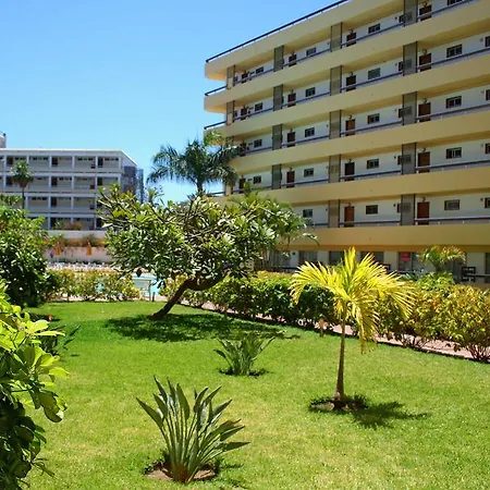 Camelias * Playa del Ingles (Gran Canaria)