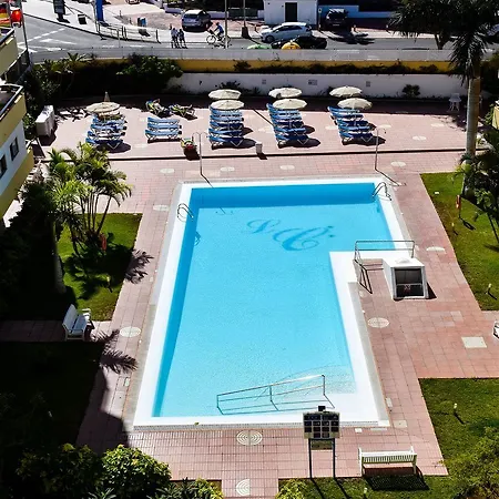 Camelias Playa del Inglés